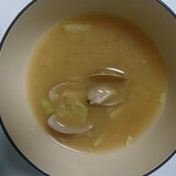 春キャベツとあさりの味噌汁